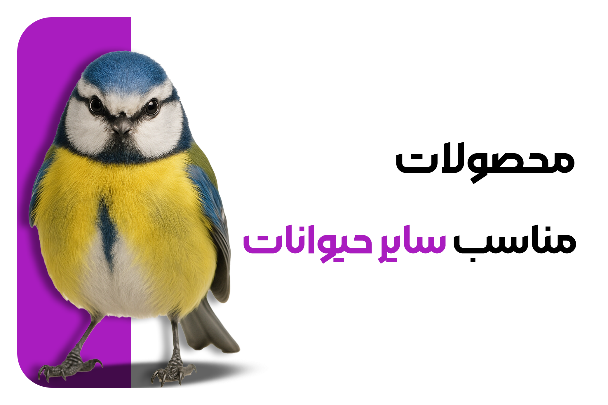 سایر حیوانات